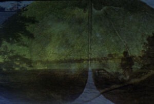 Oxalis-de-600dpi copy